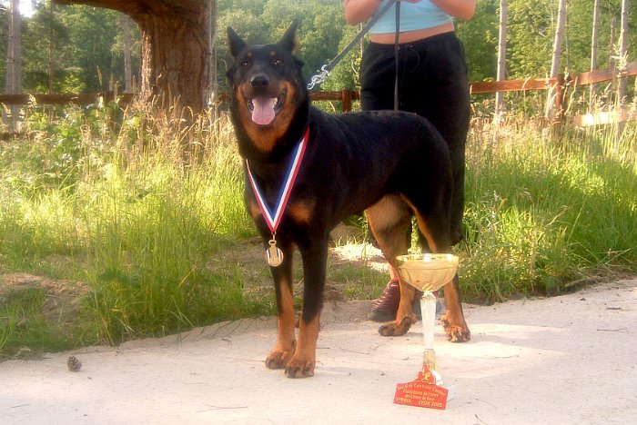 Birmane De Montclea (17)